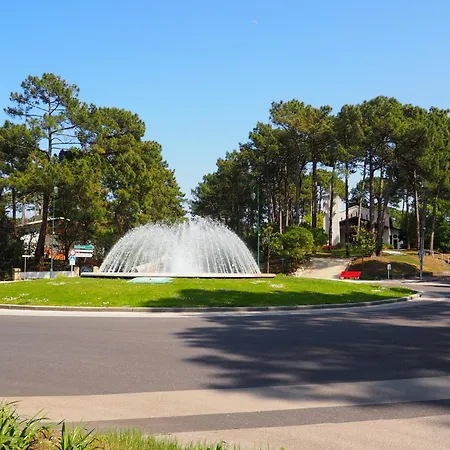 Arcachon, 1 Pièce, 4 Personnes - Fr-1-474-161 Appartement Arcachon